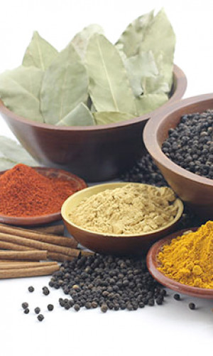 SPICES Photos