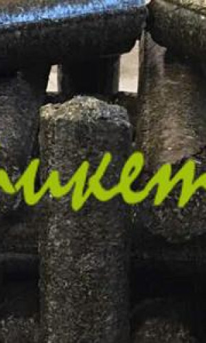 Production of eco-briquettes Photos