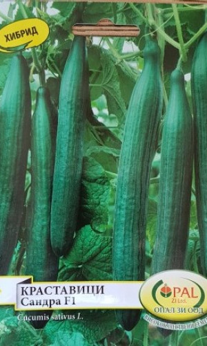 Vegetable seeds Photos