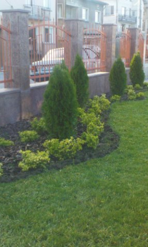Landscaping Photos