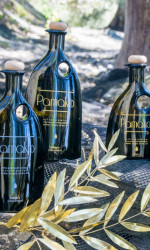 Olive oil Photos