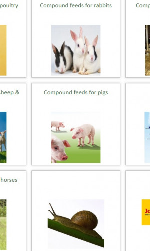 Feeds for animals Photos