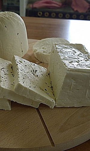 Dairy Products Photos