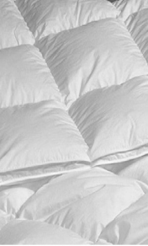 Manufacturer of a wide range of hotel linen and blankets Photos