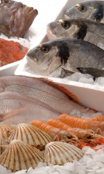 Fish and seafood products Photos