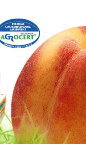 Fresh fruits Photos