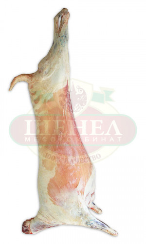 Carcases Photos