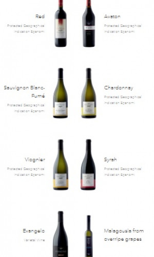 Wine Photos