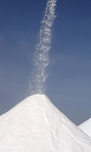 Salt Photos