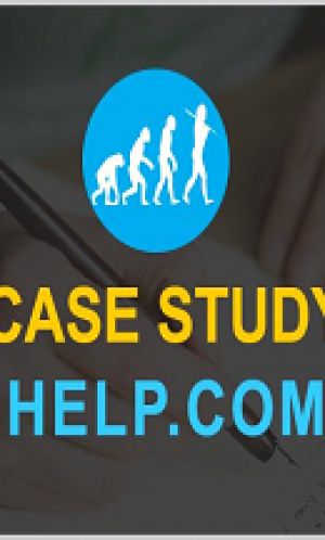 Case Study Writing Service Photos