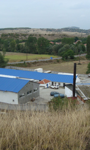 Vegetable processing Photos