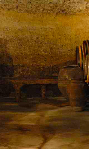 Wine tourism Photos